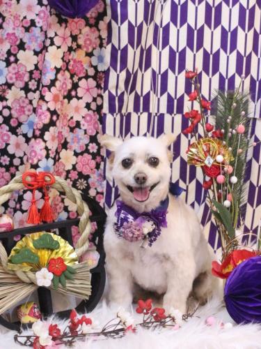 20250125ポンタくん